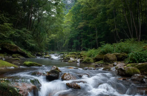 c0bb3736784b27f067e023c491117824-sz_466533