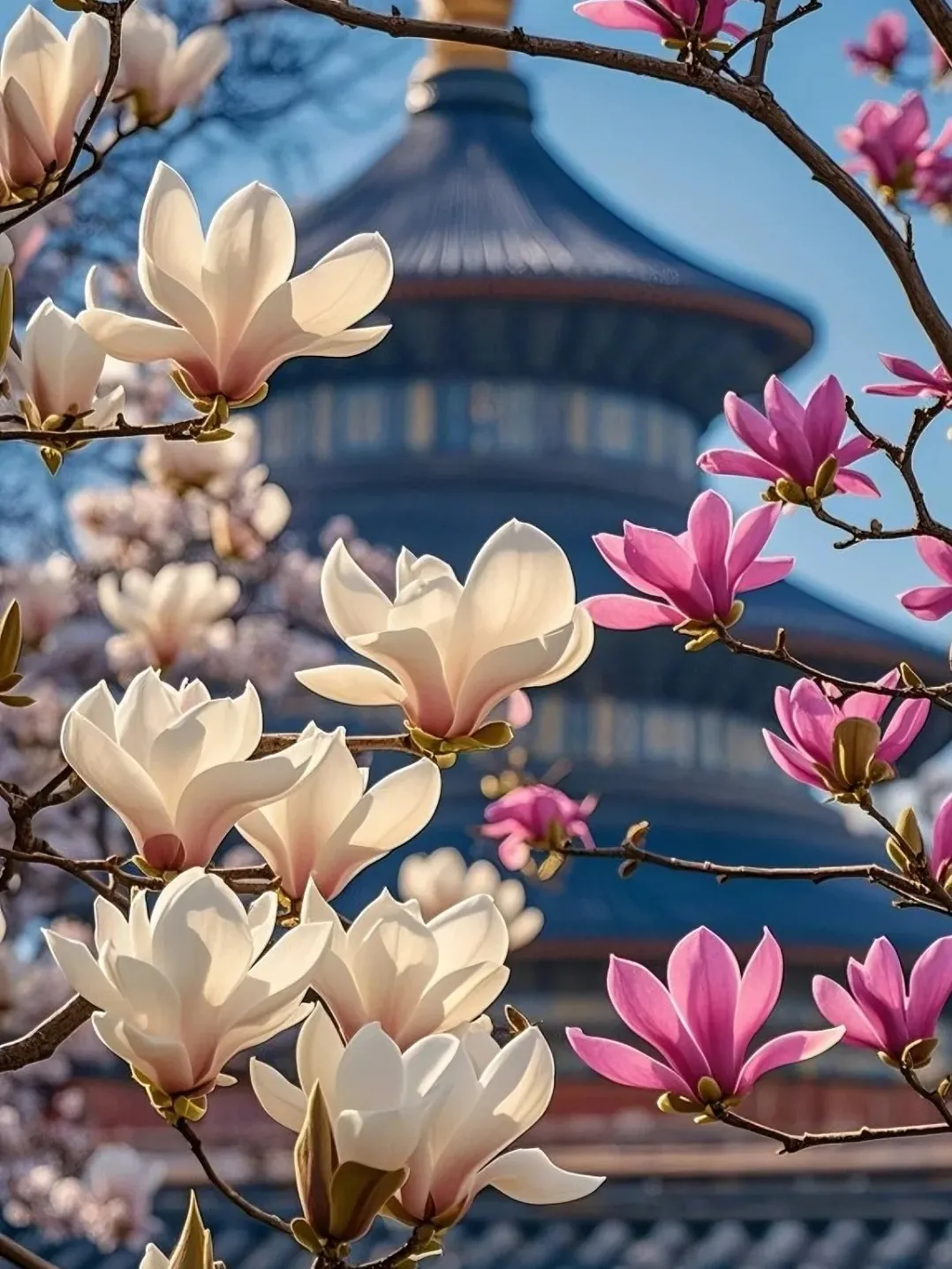 c0f3fc20f47ab85617e6d68f0dba9df4-sz_424380-2