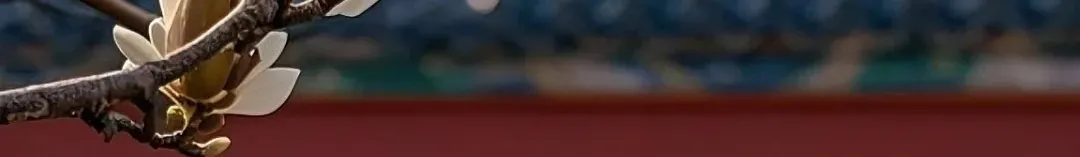 c0f3fc20f47ab85617e6d68f0dba9df4-sz_424380