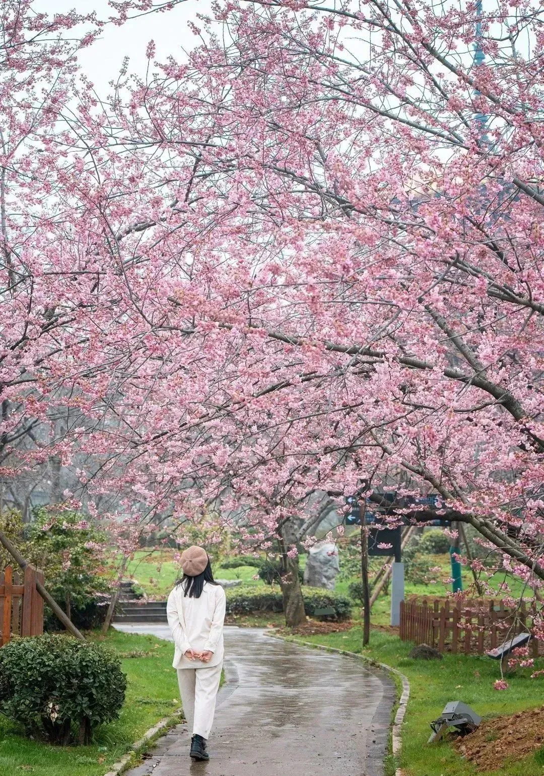 c1326f30aadefa2e6327fd34cce5c8ce-sz_629899