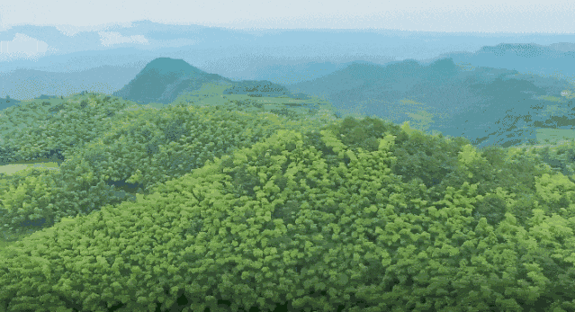 c1d018def331a1a7df1dddfebd81db7b-sz_502201