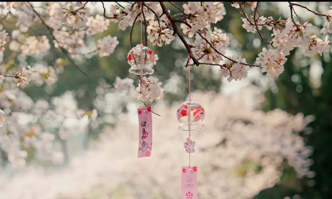 c1dfc5f0607697ba9c5d0cff94577c0d-sz_468504-1