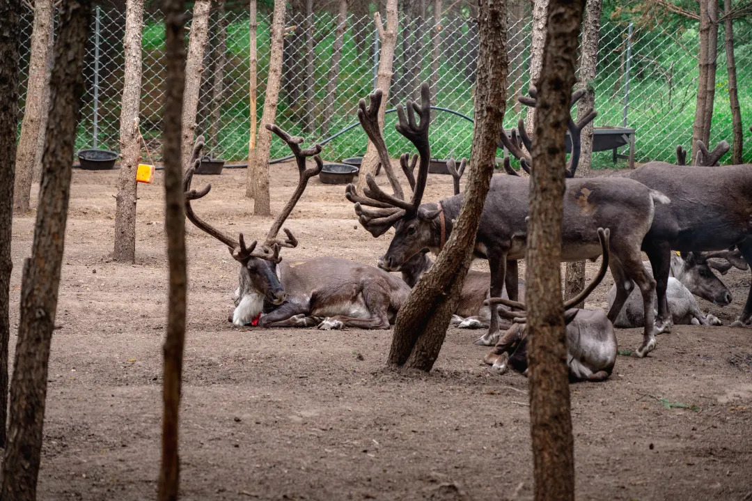 c1e35e9adeda381cde3b82faccd8cbef-sz_3135161