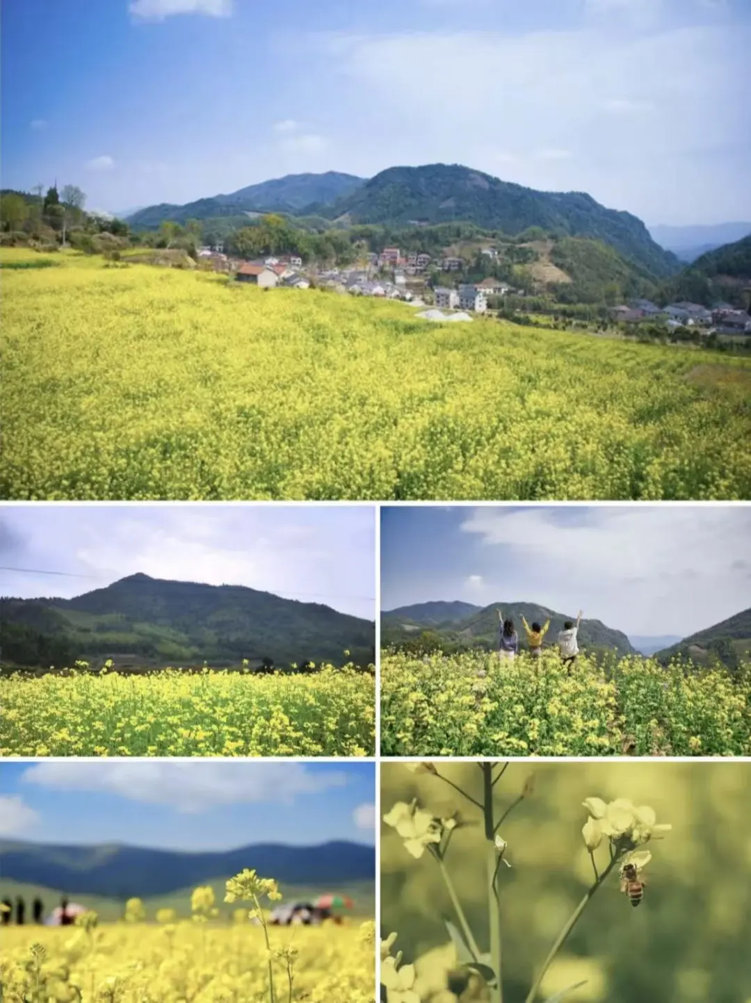 c1fa94c0ee84114fcc1f134ca4366fb5-sz_207949-2