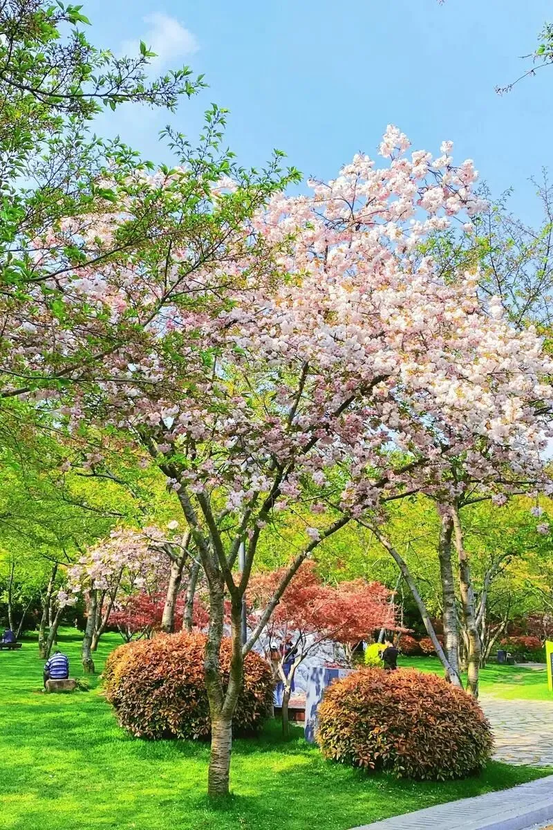 c209397e44ce55fc4460302324f27f88-sz_350922