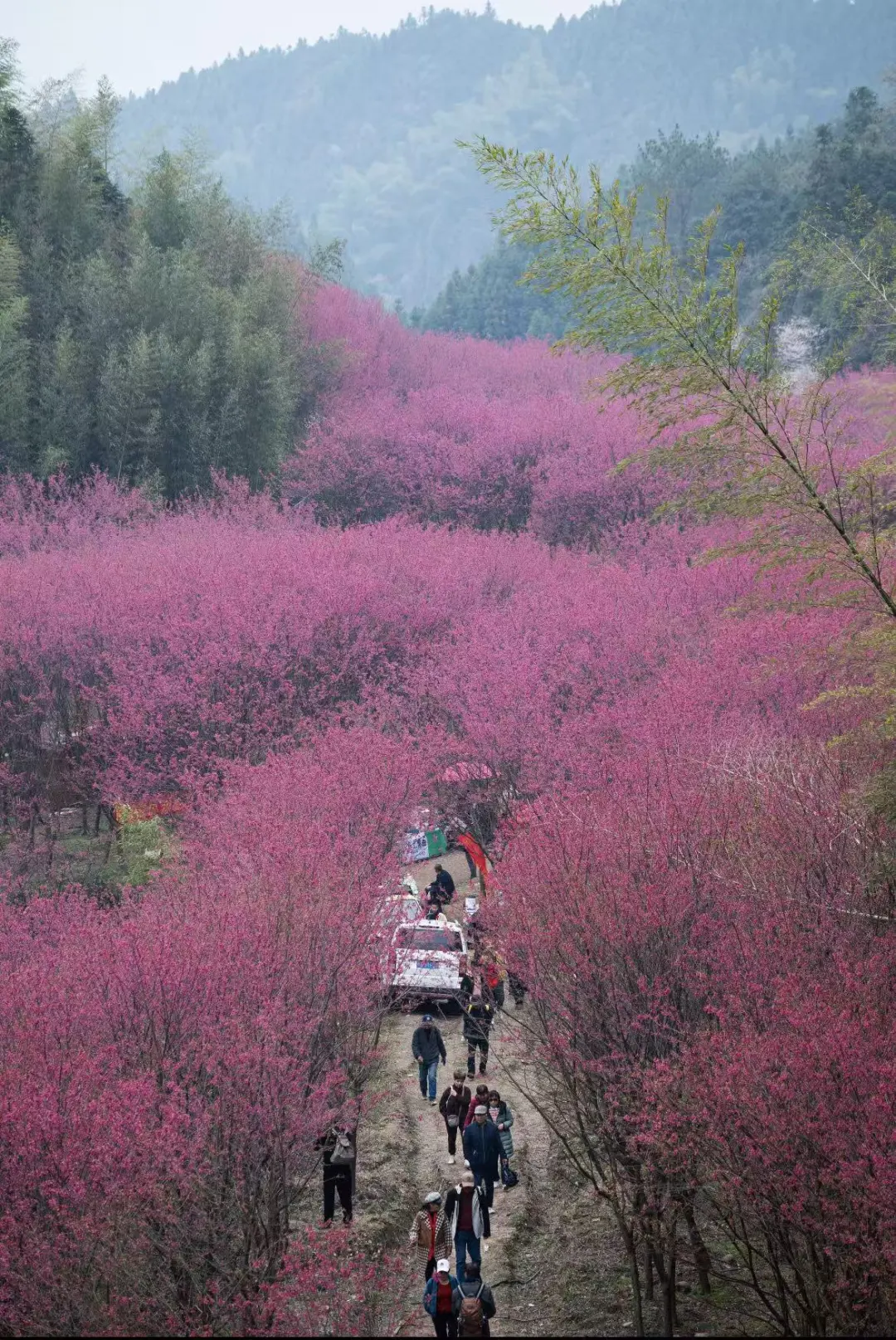 c26800d13815cdabfdc235de8984043e-sz_554154-2