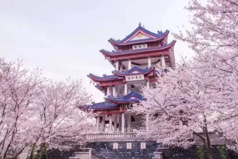 c2d1016712cc5aff0b232dcd55d3c917-sz_554496-2