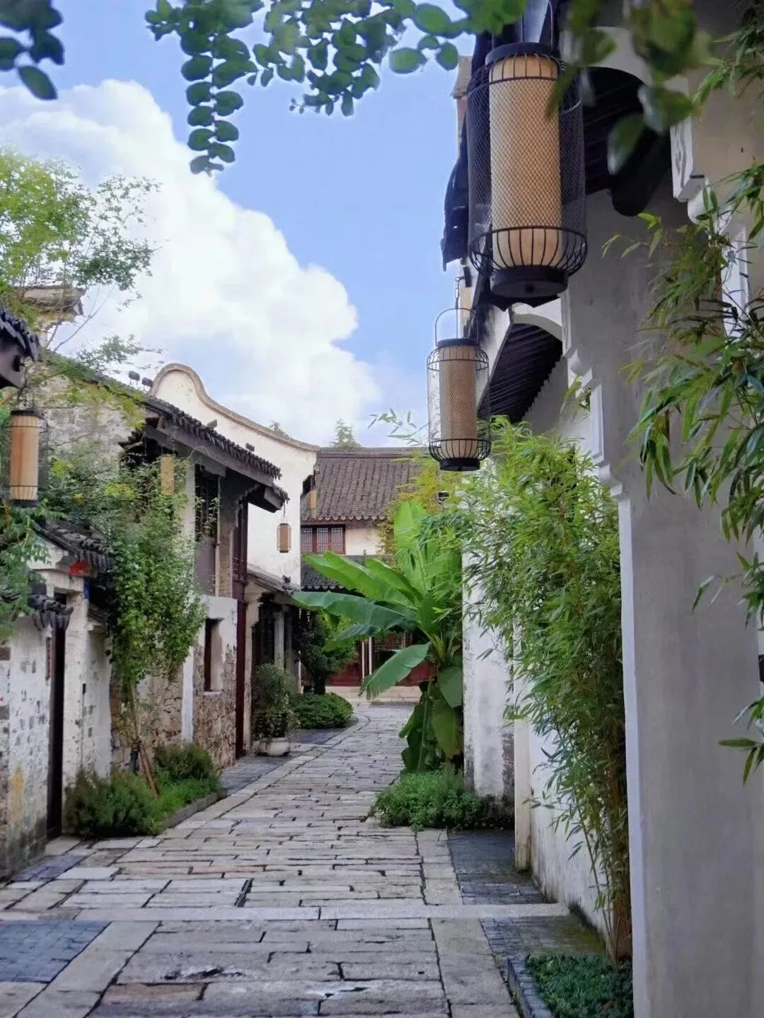 c307c99001a5d43682938ab7c10b6125-sz_279257