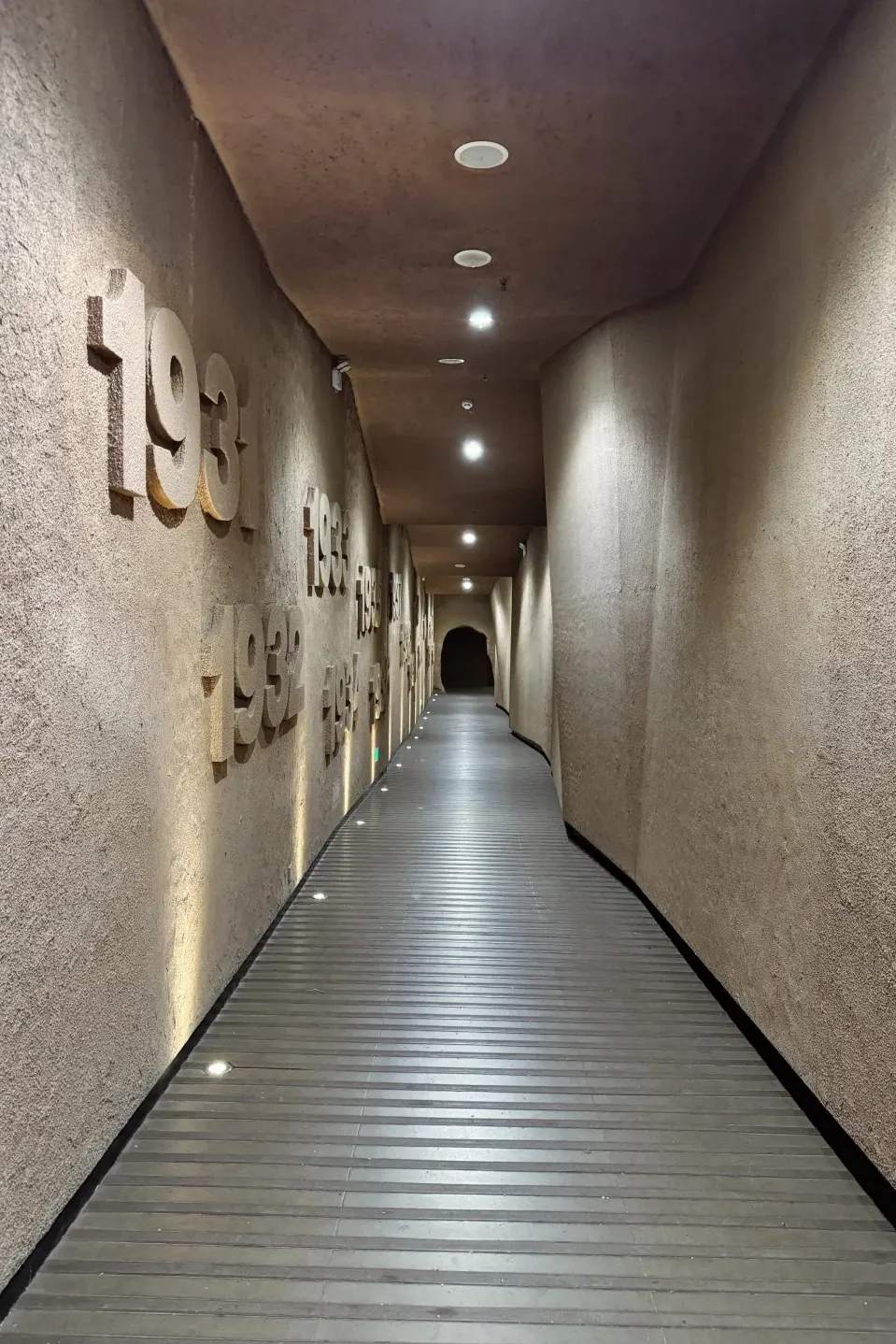 c3323de47b9806a5a7be0e8140af3262-sz_492677