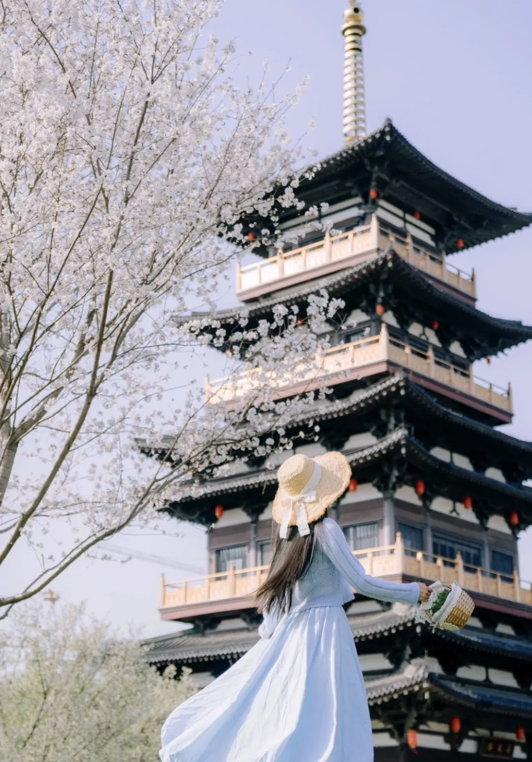 c385edc6955a555eafb49ba3fab8909b-sz_1098724