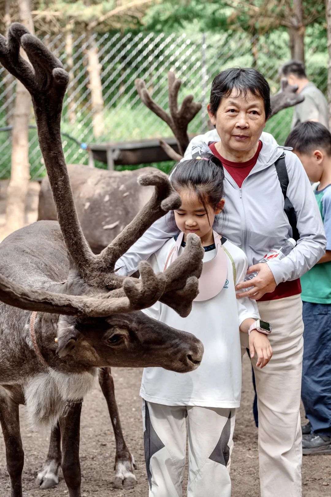 c3f548508a1f0a725adc6e30ddc27191-sz_2965968