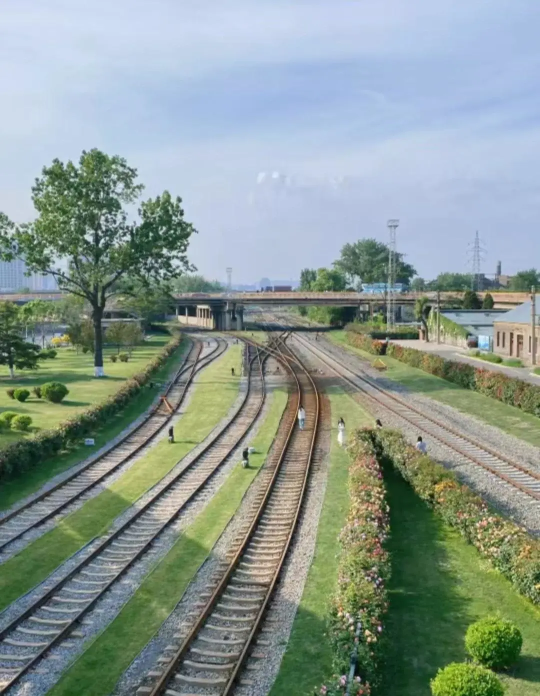 c42b5f7ee752394278fd877e48fc921b-sz_183163