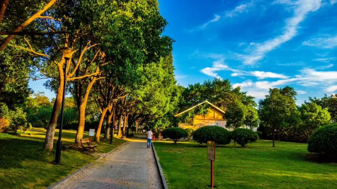 c485b06611685f7aea4e3f8cb4f31698-sz_172485