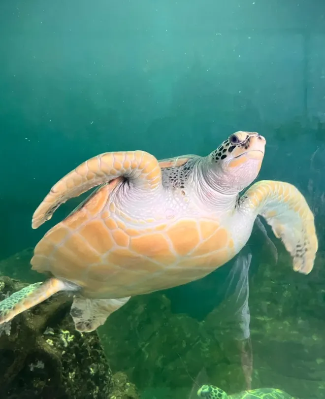 c4c002bd6189aaf3b844aca83a0b3406-sz_1407359