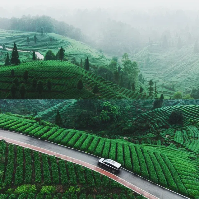 c4d0afd6d4f98a0fe06ff996d4dbd264-sz_1103419 c4d0afd6d4f98a0fe06ff996d4dbd264-sz_1103419