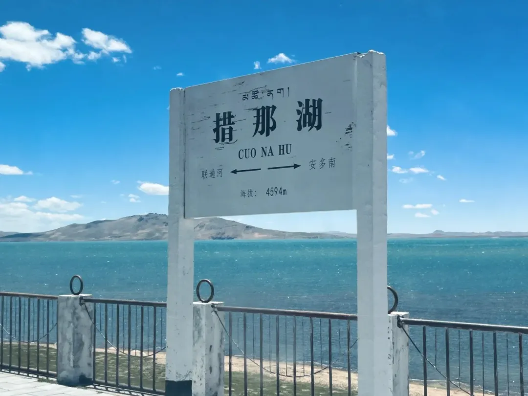 c51495e095cd3c813a1812c4ba1f5316-sz_260729