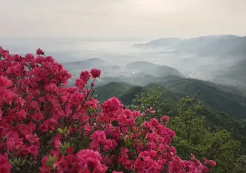 c5d6b61a4cf11d707aa92d2e35e303c1-sz_326210