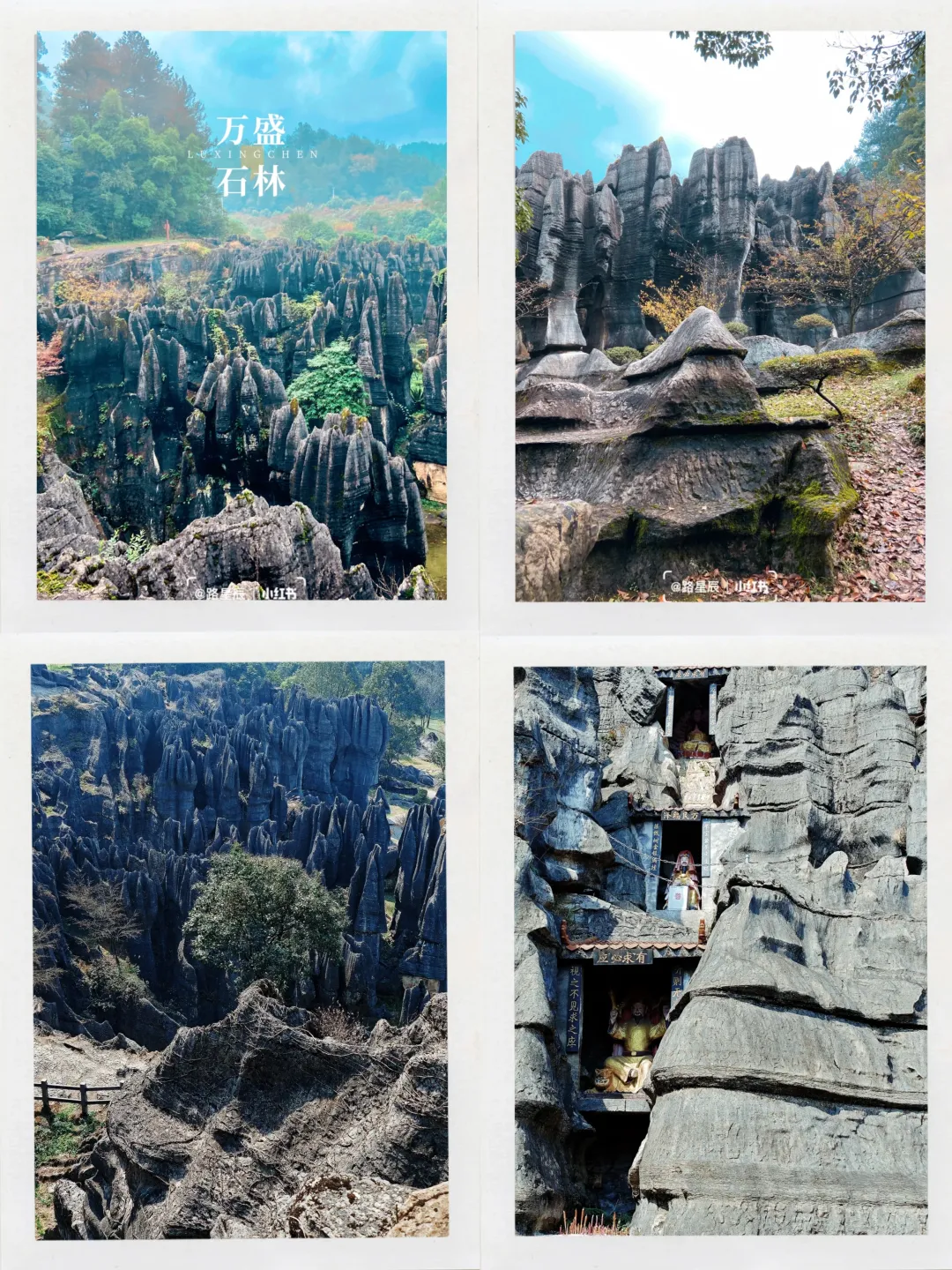 c5ec4da9daf85c7c0c26f8549fcc7eec-sz_6519384