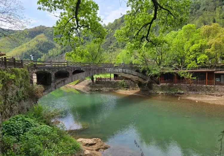 c5f985bd371b1d2a57124dcdc959f710-sz_2086131