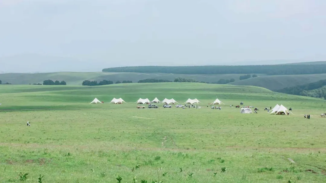 c63786c2f15b5aaba9973a5d22294a62-sz_452167