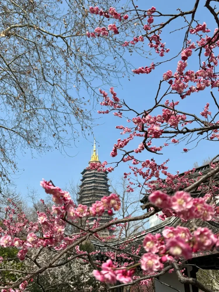 c6402dca40ce43cc7eaba04cfe9940be-sz_3767449