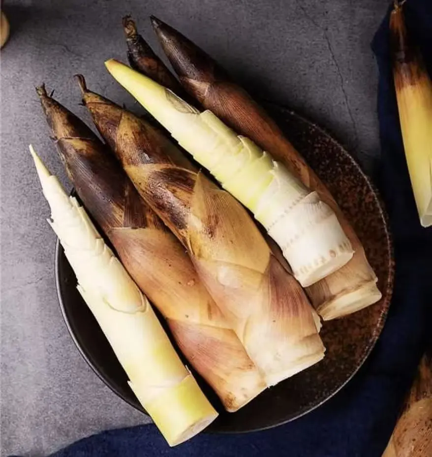 c6e6bda15953e4708bf1c45fa50d4785-sz_117332-2