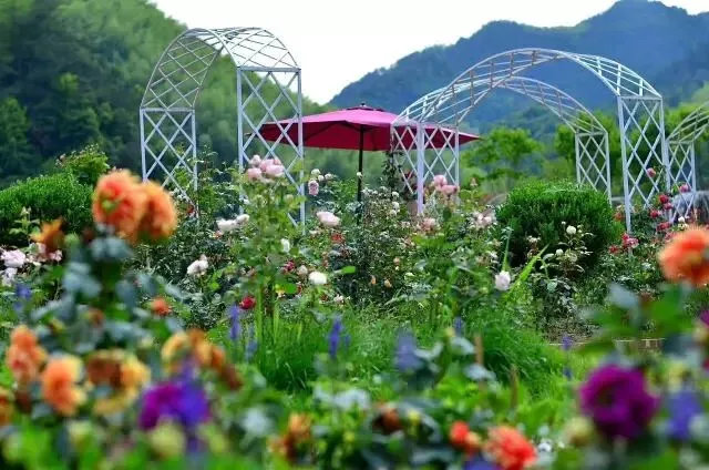 c762d6379e78b0d5049d587beec67127-sz_70981