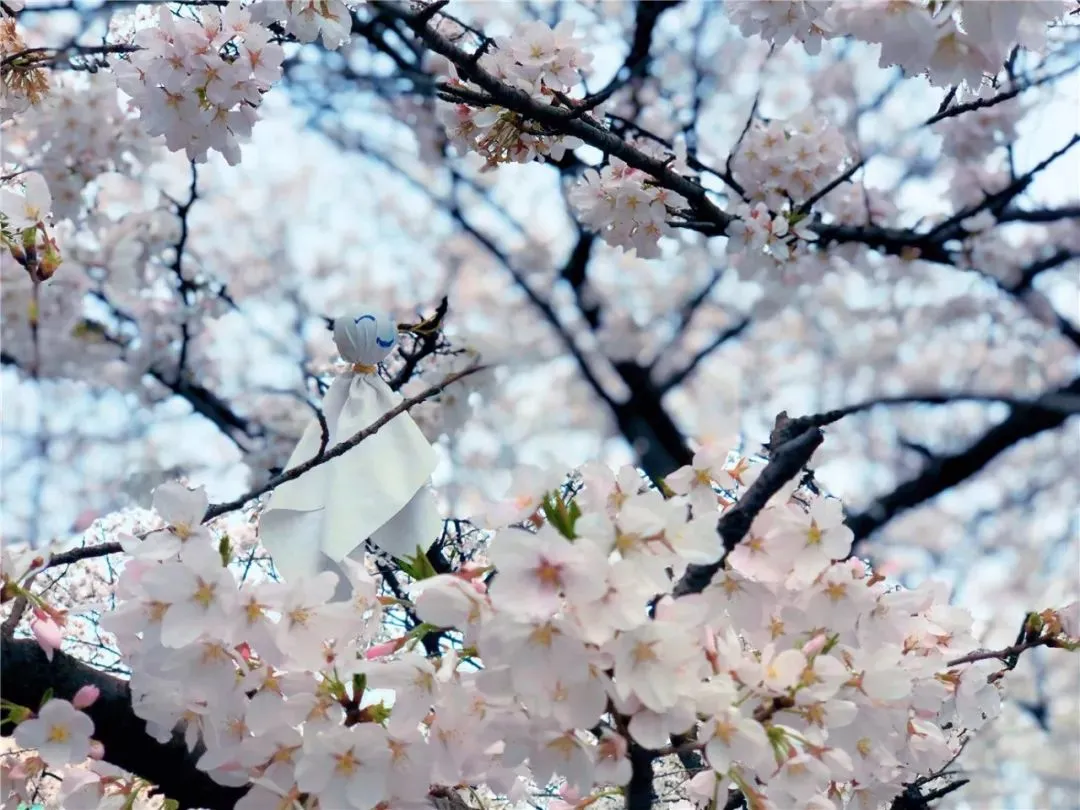 c799e44610e2e78f335bf382fa32b738-sz_144440