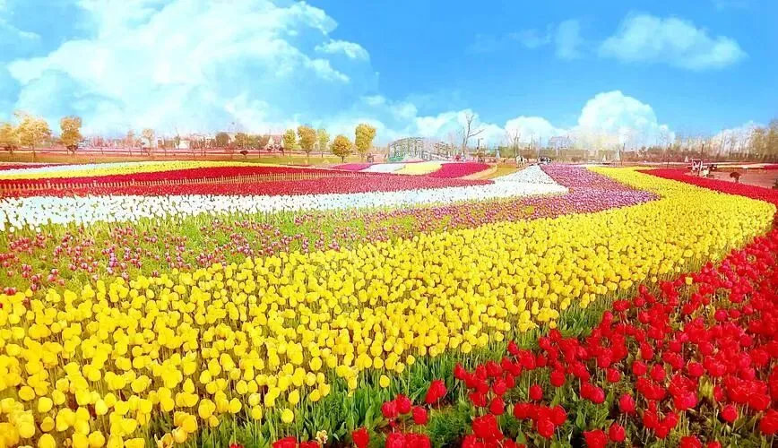 c7cfd9844c1ecec2f67272759a8f11de-sz_135576-1