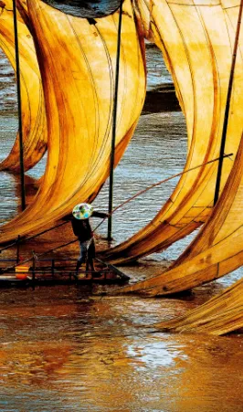 c7d0ac8e8b55474b7e96faab54d1f701-sz_985516