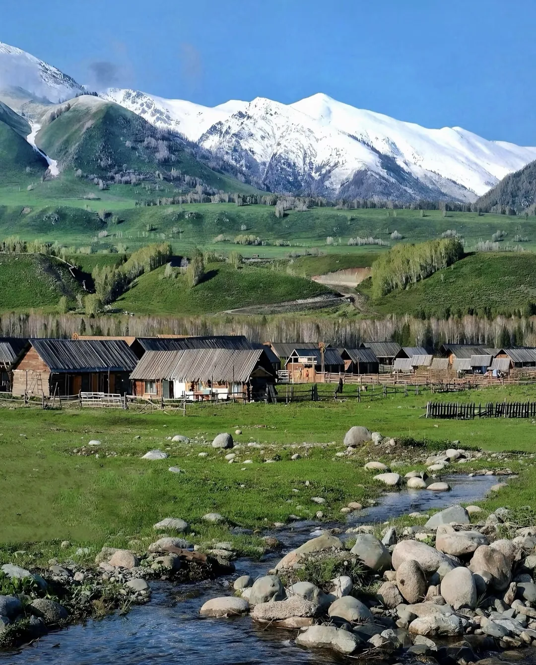 c85110bbd5184c540fab284b749c81d5-sz_1293788