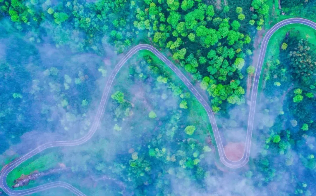 c853caa42b24eb09d30293a42ceed699-sz_2453804 c853caa42b24eb09d30293a42ceed699-sz_2453804