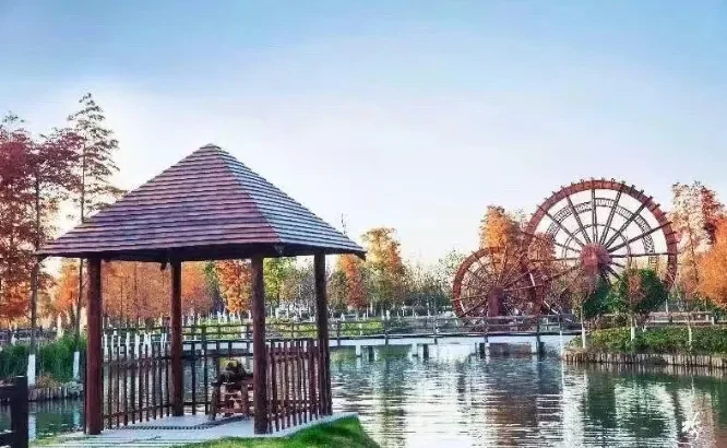 c8da7ee301c669c3dd15ff461204cf99-sz_575232