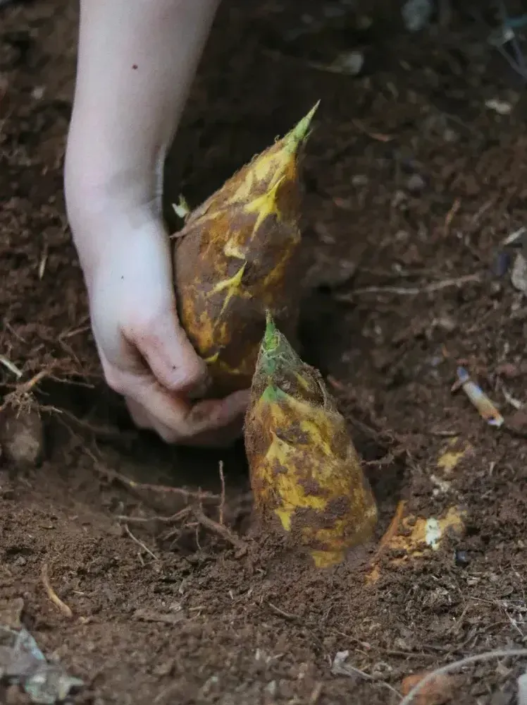 c8e925e420fcb263f4dda3ba93845cd4-sz_849396