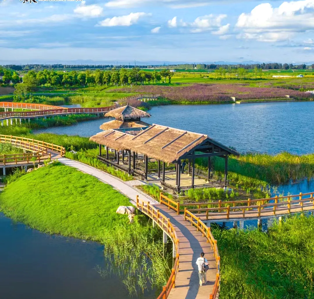 c9d8437a254d69c7f39168c5a2f83677-sz_1336747