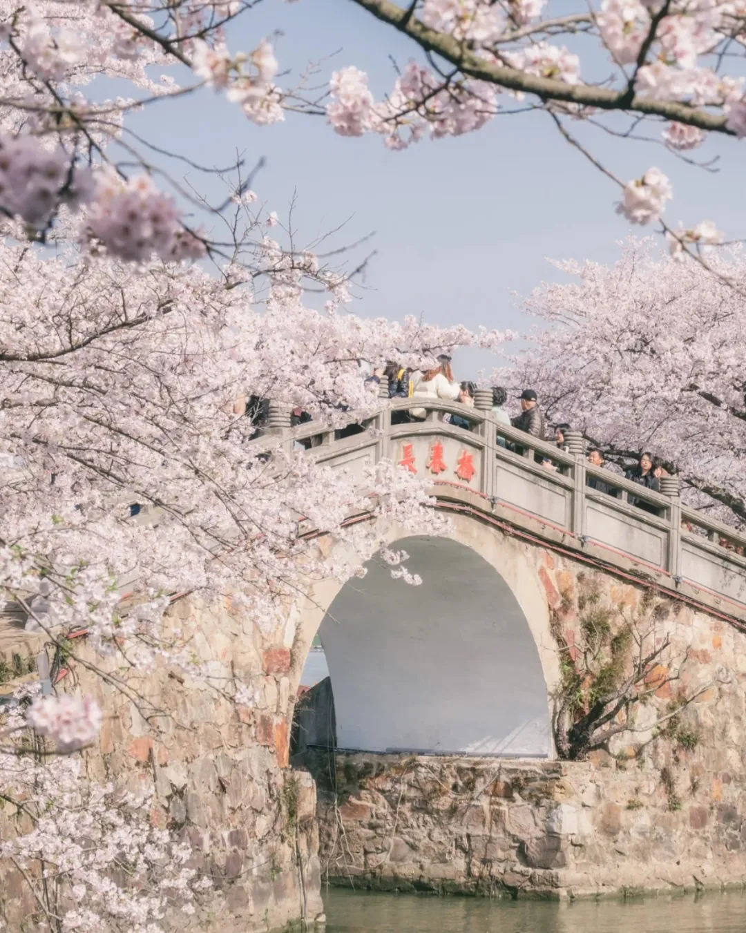 c9dd09f631eb1de06fef5e737c478be9-sz_1284350-1