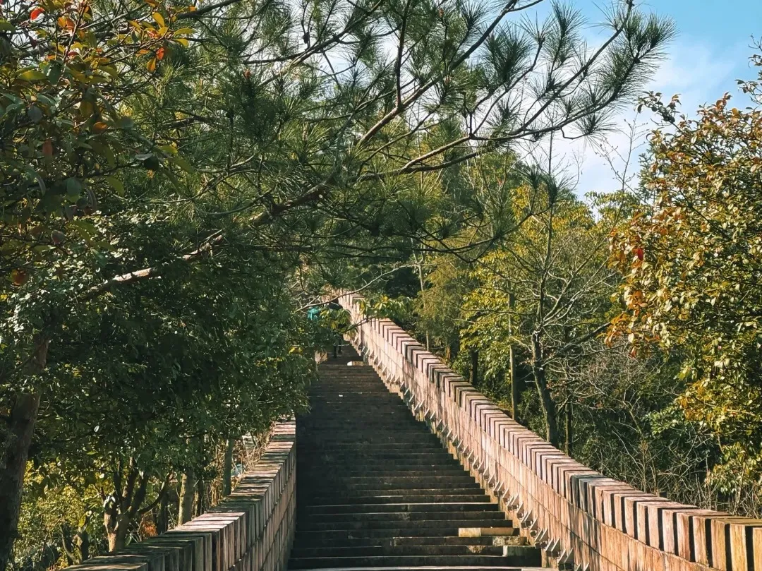 ca26ce6eef9e10a8473a6ffd074f2de7-sz_715500