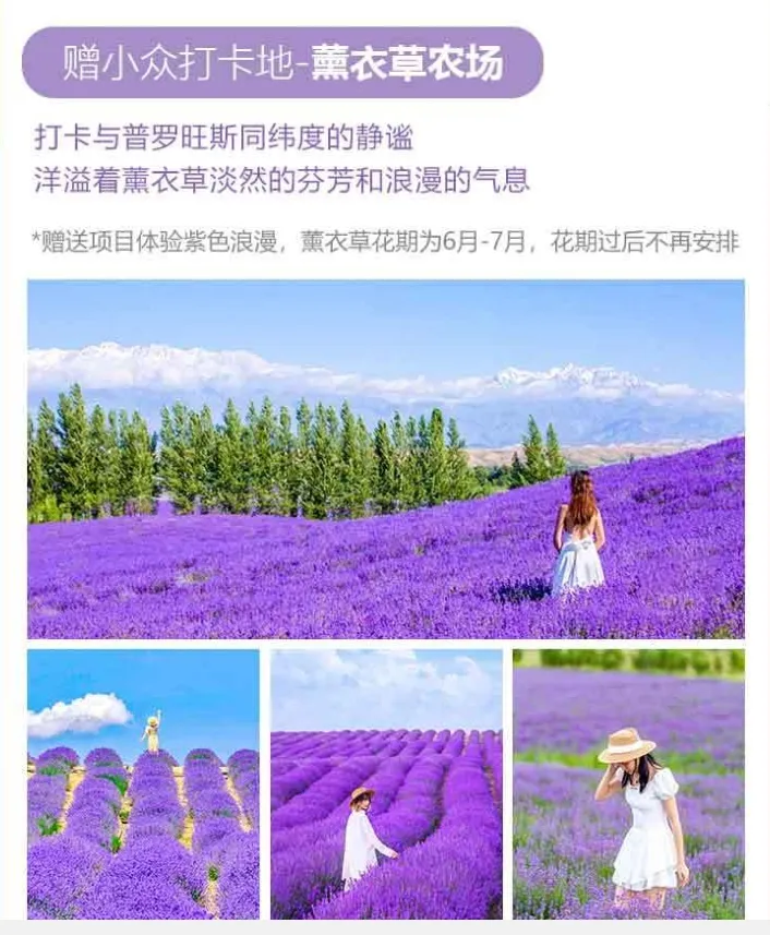 ca45ee823948b2d3ff85dd11d2429938-sz_383145