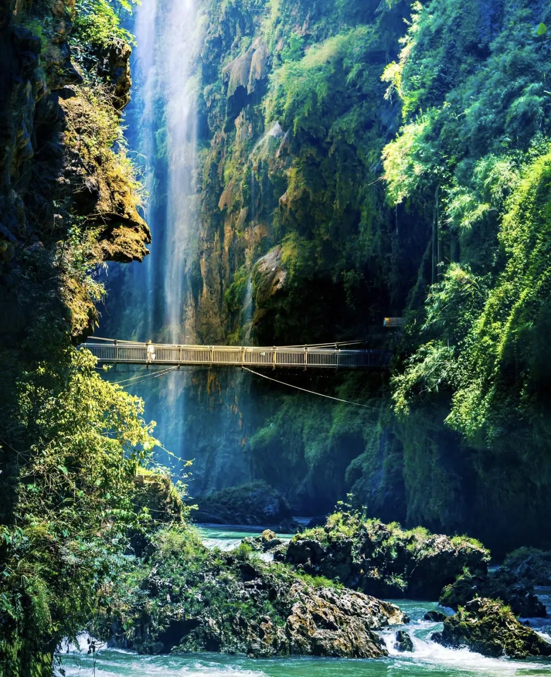 cac86b86e1bffd5974e0f1137f32dbc8-sz_1104362