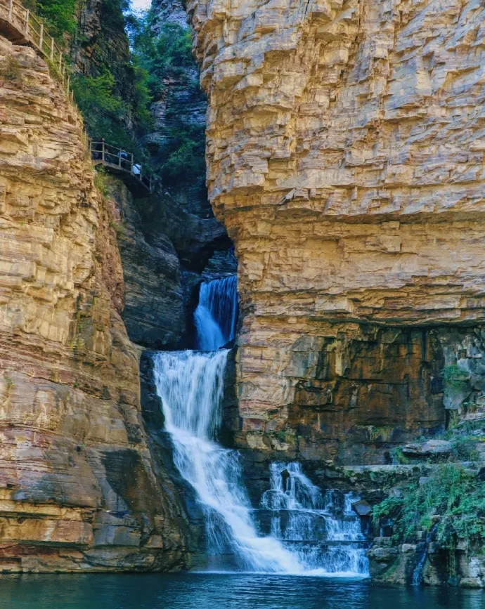 cae4180c368efb718057e09a053c6f8e-sz_322488-3