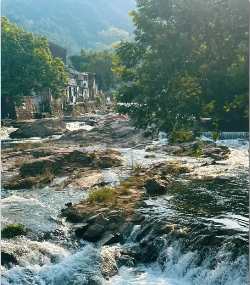 cb1f0533fb0c62363f56019294f095d2-sz_793845