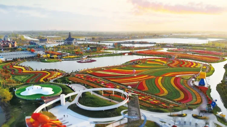 cb4eec850de269e41dc2ecaf69796fcf-sz_1966251