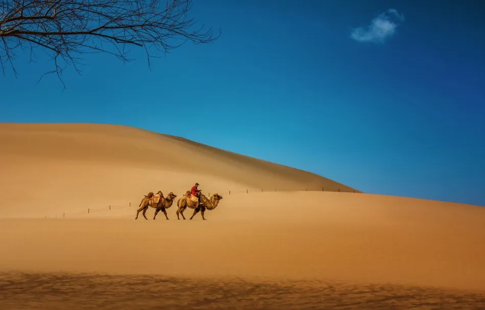 cbdbcaebade4598f3584d3c85b40066f-sz_286651