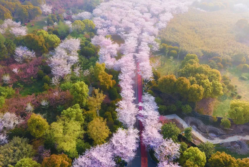 cbe2a9a3d9ad0da34188ba28554c2b55-sz_1217207-1