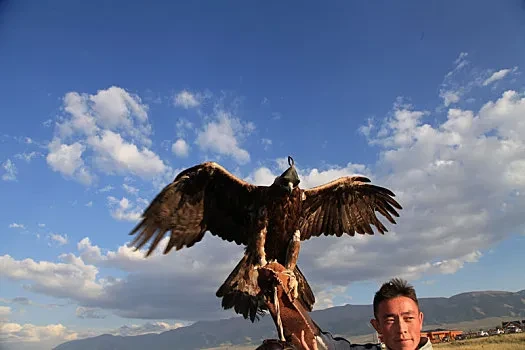 cc5de72438e3ba08f9506bfc3160f4f7-sz_47030