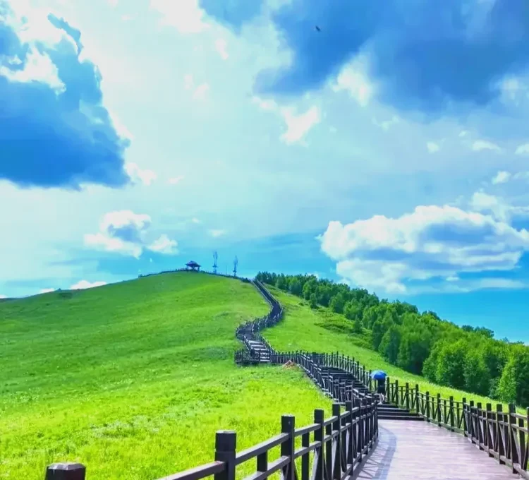 cc8e18ac08eac36f3cc7ac37f38c136a-sz_1020335