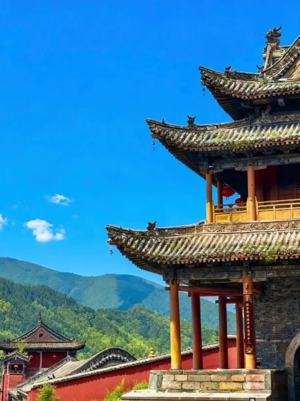 cca9df9457e1d53faf74ce8c1522a03a-sz_728031-2