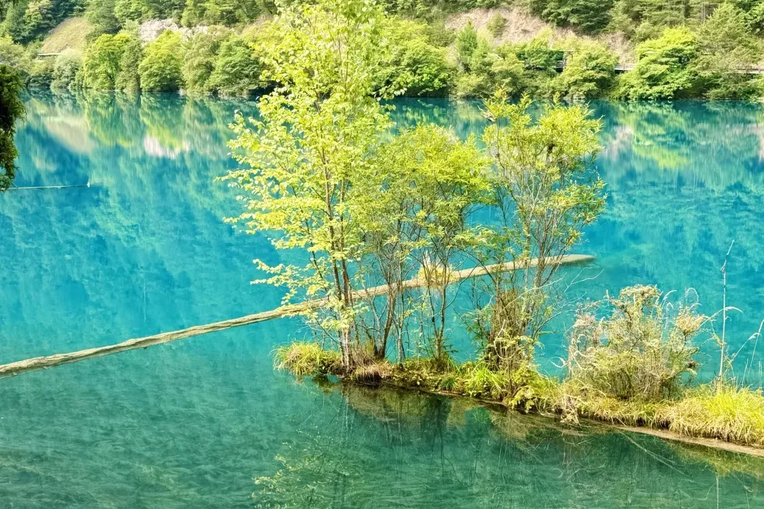 cd3065896459988f11105cef5057e93d-sz_712757