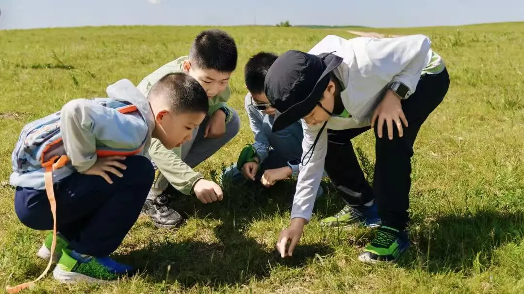 cd9257ec68a93bd0b412bf284a11dc99-sz_126469