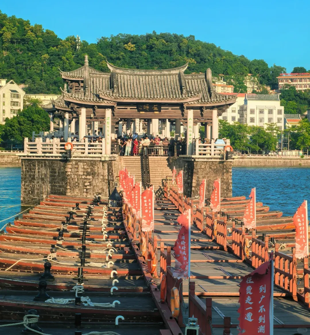 cd9a37edc8d1ffe5da8e67c307697838-sz_2576572